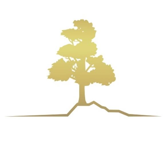 Akra Development