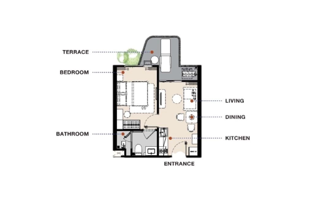 Appartement une chambre type 1BM
