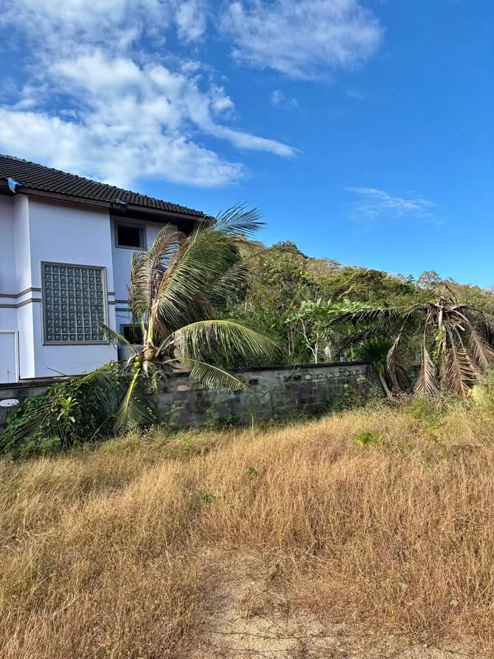 Terreno en alquiler en la ladera de Bangtao, Thalang
