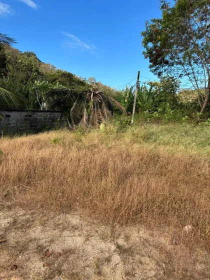 班道山坡地块出租，陶朗区