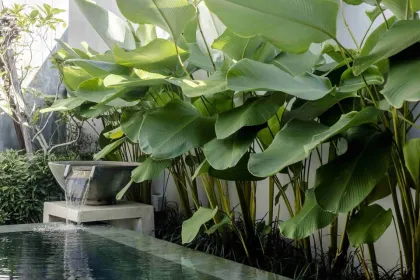 Villa de luxe 3 chambres avec piscine à louer à Anchan Flora, Cherng Talay