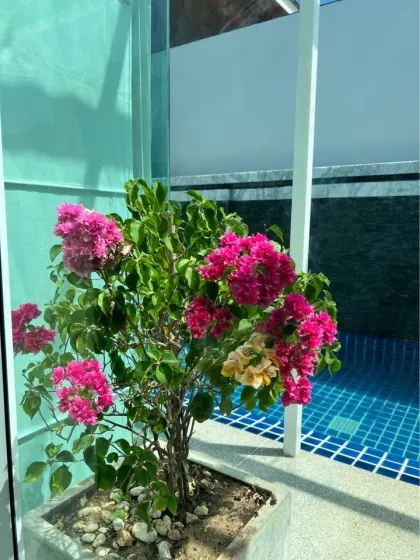 普吉岛卡马拉区两卧室私人泳池别墅出租