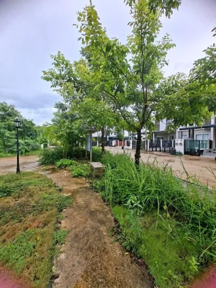 Дом с 3 спальнями в аренду в Phuket Avenue, Таланг