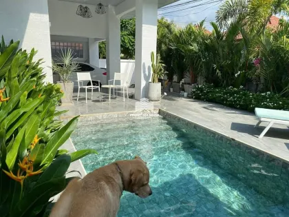 Cozy Modern Pool Villa with 2 Beds & 3 Baths for Rent