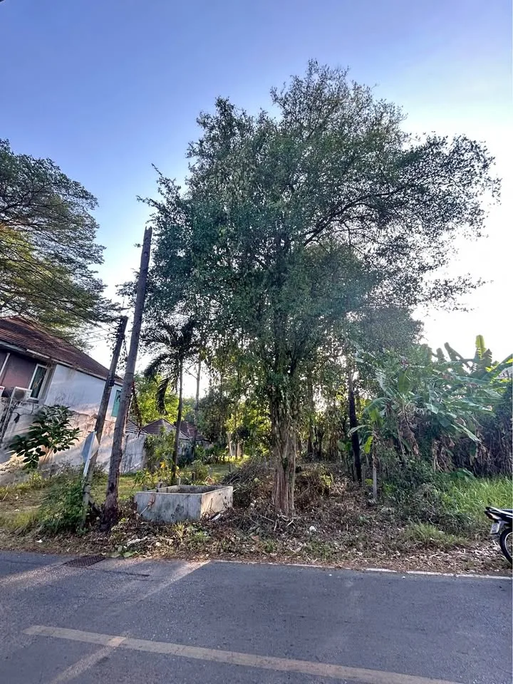Terreno en alquiler a solo 10 metros de la playa en Cape Panwa