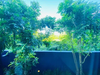 1-Bedroom Apartment for Rent at The Base Central, Wichit, Phuket