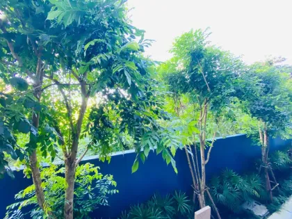 1-Bedroom Apartment for Rent at The Base Central, Wichit, Phuket