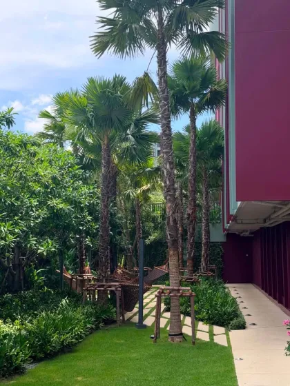 1-комнатная квартира с 1 ванной в аренду в The Base Bukit Phuket