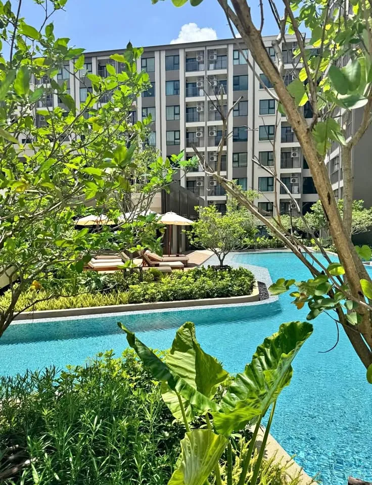 1-Zimmer-Wohnung zur Miete im The Origin Kathu–Patong mit Poolblick