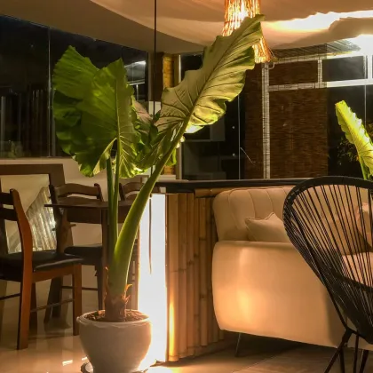Студия с 1 ванной в аренду в Til Dawn Phuket Karon
