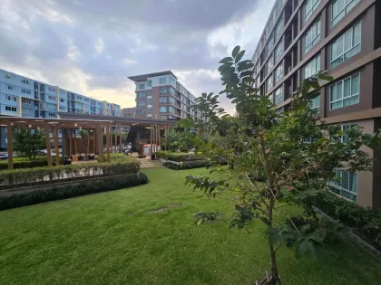อพาร์ตเมนต์ 1 ห้องนอน ให้เช่าระยะยาว ที่ D Condo Creek Kathu