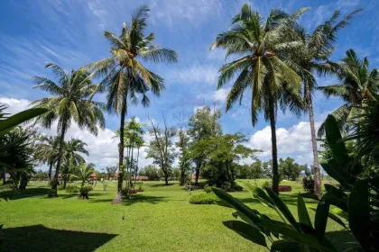 1-комнатная квартира в аренду в Allamanda2, Laguna Phuket