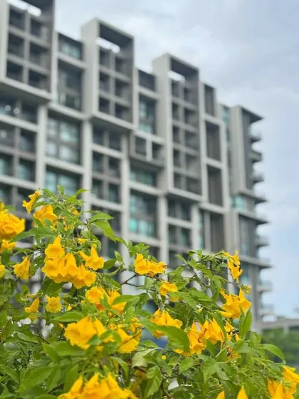 Полностью оборудованная 1-комнатная квартира в Sugar Palm Condominium, Пхукет