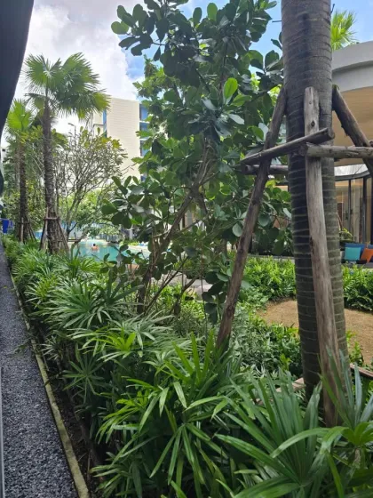2-комнатная квартира с 1 ванной в Dcondo Reef Phuket на аренду