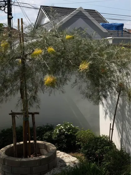 Phanason Park Ville翻新3卧室家庭别墅出租