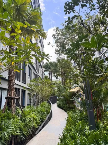 2-комнатная квартира в аренду в Dcondo Reef Kathu