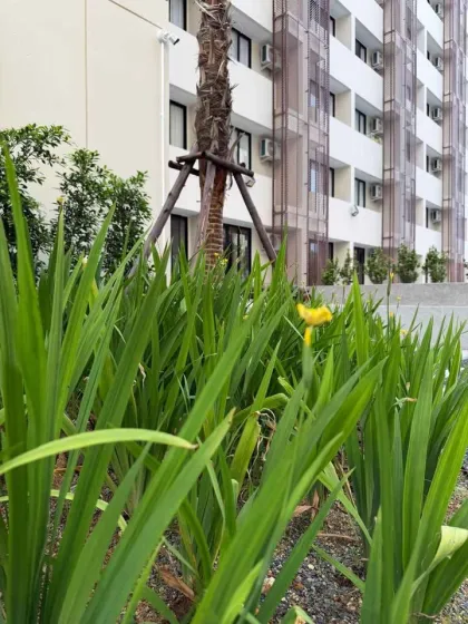 Апартаменты с 1 спальней и видом на сад в Utopia Naiharn Condo