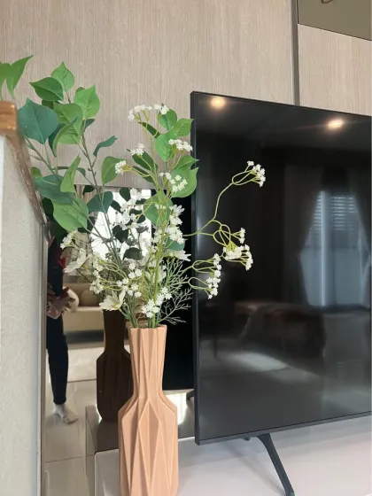 普萨莱棕榈泉4卧3卫公寓出租，奈扬