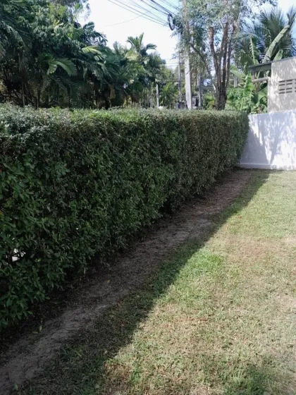 Вилла с 3 спальнями и 3 ванными в аренду в Supalai Garden Ville Paklok