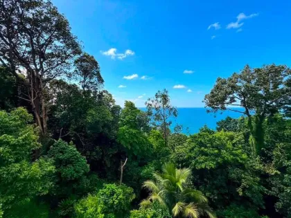 Appartement 2 chambres avec vue mer à louer à Kata Beach