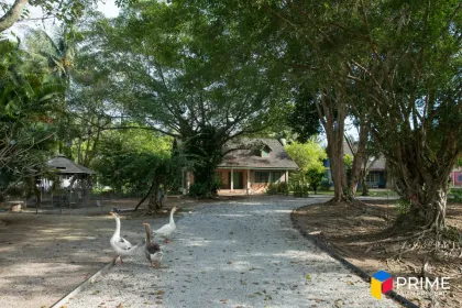2-Zimmer-Haus zur Miete in Rawai Strand-Gated Community