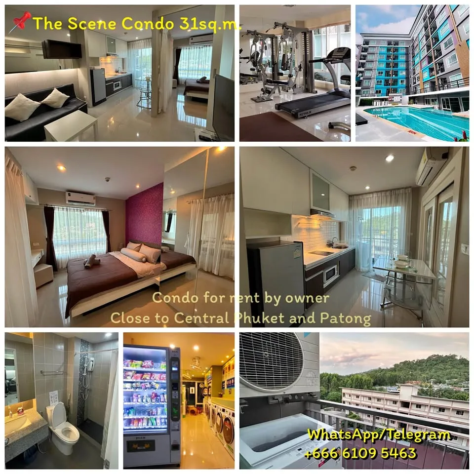 The Scene Condo 一居室公寓出租，Kathu