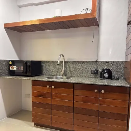 Квартира для кошек 1 спальня 1 ванная в Green Golf Residence