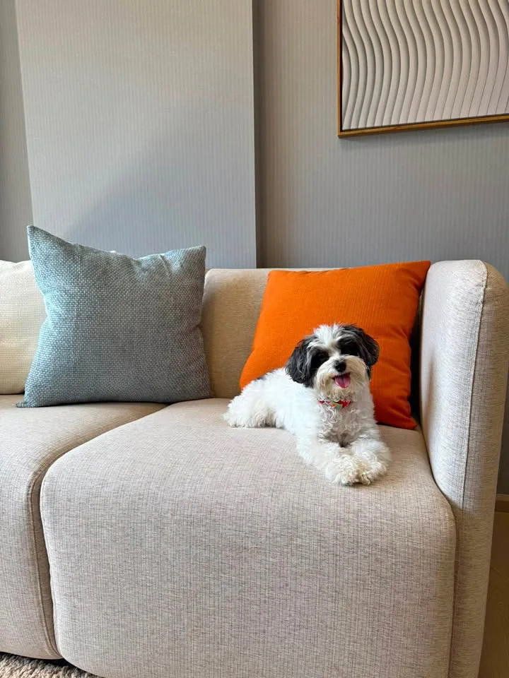 Pet-Friendly 1-Bedroom Apartment for Rent in Thalang, Phuket