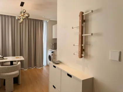 Стильная квартира 1 спальня, 1 ванная в аренду в The Aqua Condo
