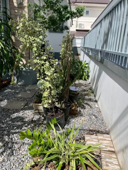 Cozy 2-Bedroom Villa for Rent Near Bang Tao Beach
