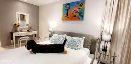 2 Beds 1 Bath Apartment for Rent at The Title Condo