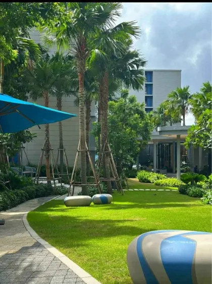 1-Bedroom Apartment for Rent at Dcondo Reef, Phuket Town