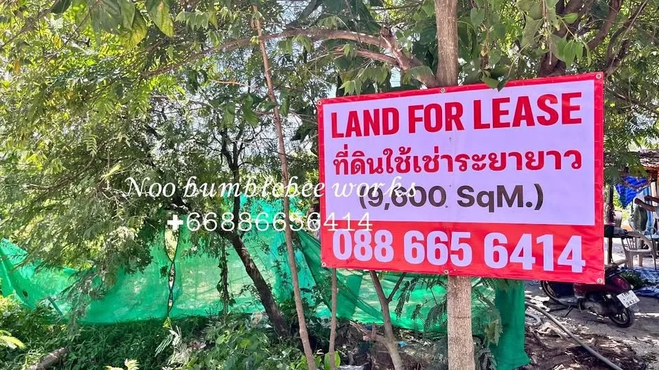 ที่ดินให้เช่าพื้นที่พรีเมียมในเชิงทะเล