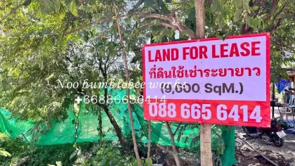 ที่ดินให้เช่าพื้นที่พรีเมียมในเชิงทะเล