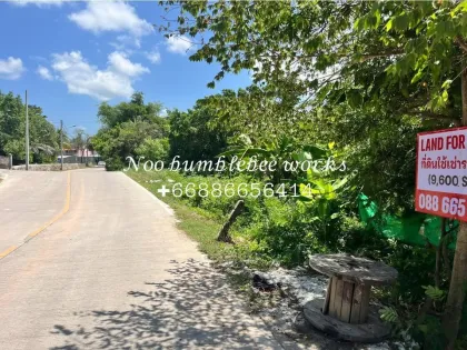 ที่ดินให้เช่าพื้นที่พรีเมียมในเชิงทะเล