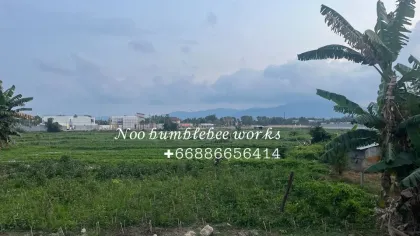 Prime Land for Long-Term Lease in Choeng Thale, Phuket