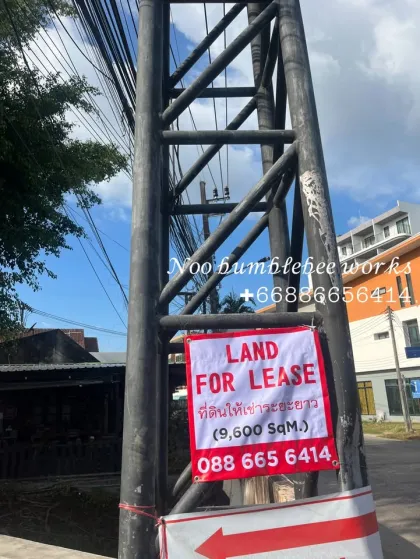 Prime Land for Long-Term Lease in Choeng Thale, Phuket