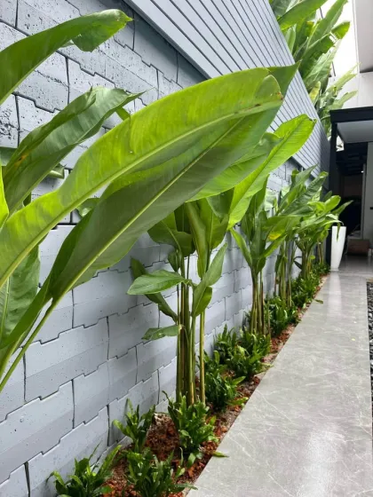 MONO Koh Kaew 三卧三卫出租别墅