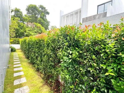 Умная вилла с 4 спальнями и бассейном в аренду, Larimar Villa, Чалонг