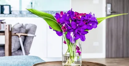 อพาร์ตเมนต์ 1 ห้องนอน ให้เช่า ที่ไดมอนด์ คอนโดมิเนียม บางเทา