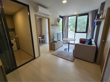 The Base Rise Phuket 一居室公寓出租