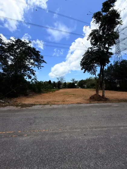 Land for Rent near Phuket Airport, Pa Khlong Chiao