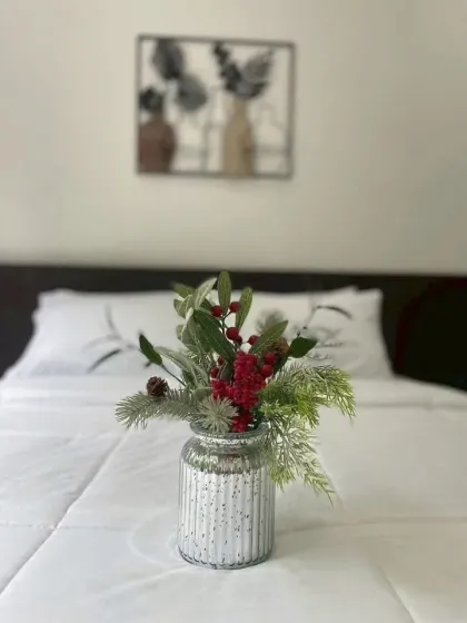 Bore Wichit Villa for Rent - 3 Bedroom, 2 Bathroom