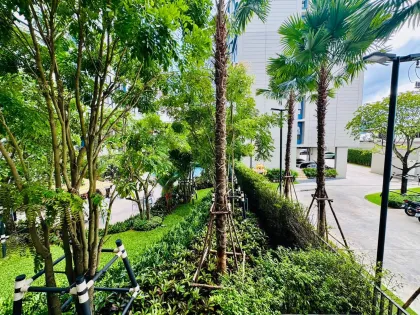 DCondo Reef 1-Zimmer-Apartment mit Poolblick in Kathu