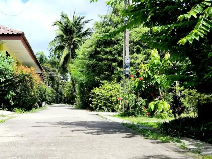 2-Zimmer-Haus zur Miete in Patong, Phuket