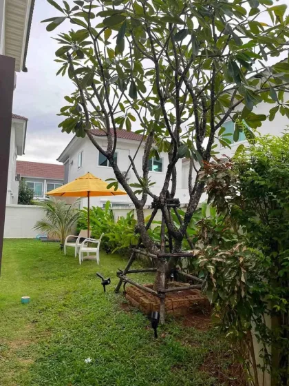 Supalai Bella Thalang三卧两卫联排别墅出租