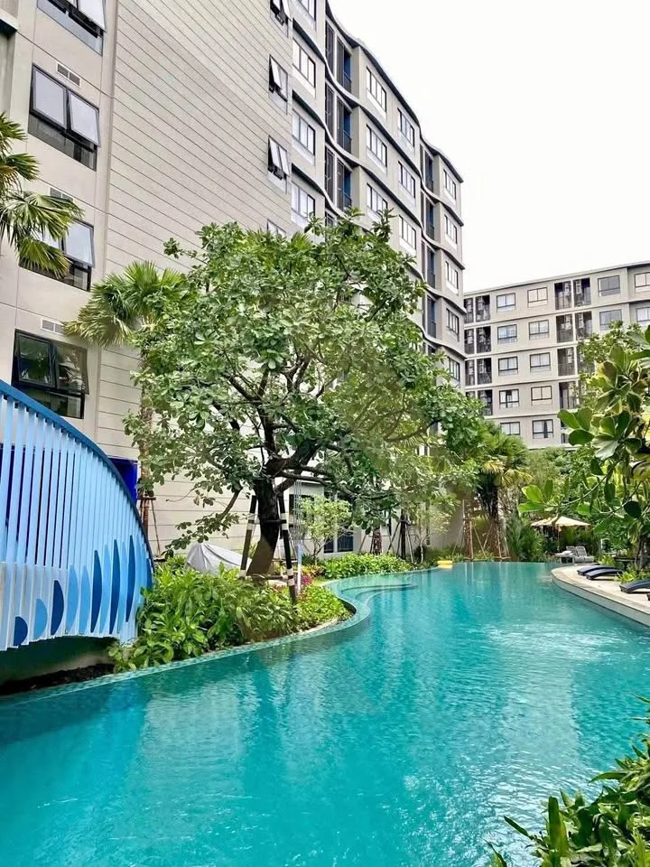 DCondo Reef 1卧1卫公寓出租，普吉镇