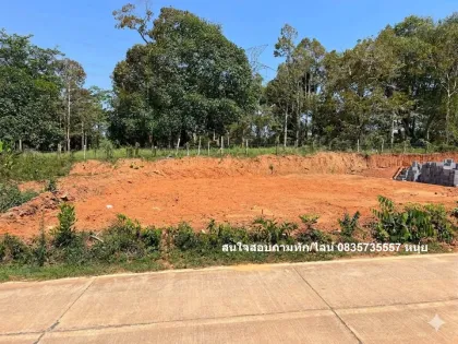 ที่ดินขายในบ้านโพธิ์ ตำบลท่าฉลอง ภูเก็ต - พื้นที่เงียบสงบ