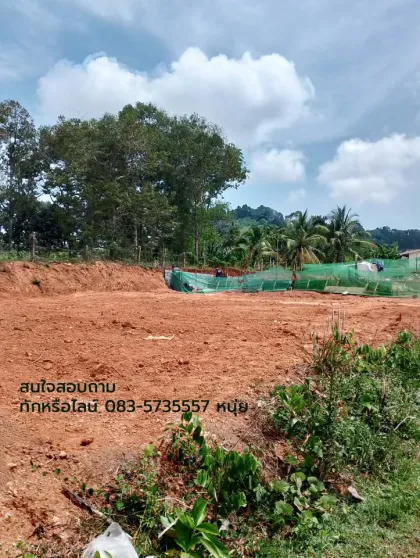ที่ดินขายในบ้านโพธิ์ ตำบลท่าฉลอง ภูเก็ต - พื้นที่เงียบสงบ