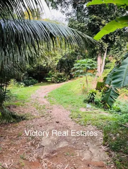 Terrain à vendre avec vue sur mer et emplacement paisible – Pa Khlok, Phuket
